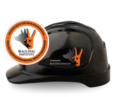 Hardhat Vented Pushlock Harness V9   Black Dog