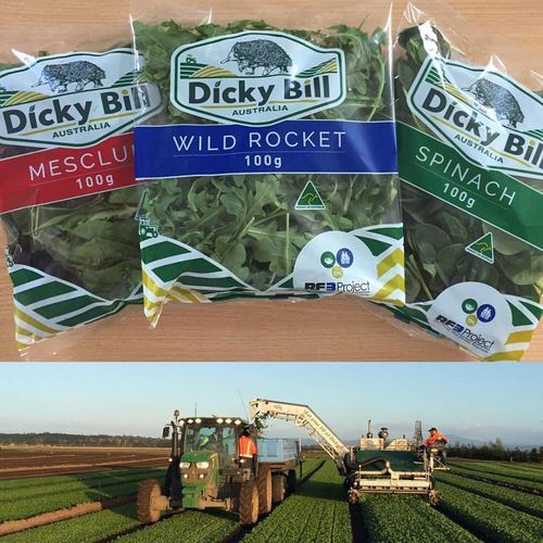 Dicky Bill Farming SWF Group