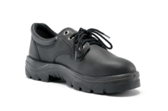 Steel Blue   Style Eucla