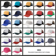 Truckers Mesh Cap